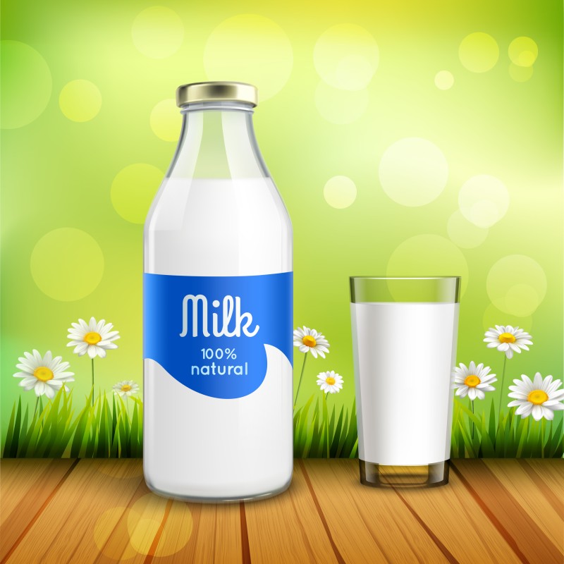 Milk & Milk By Products